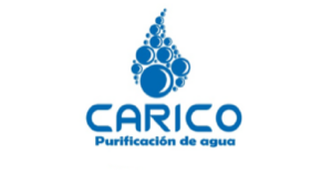 logo carico